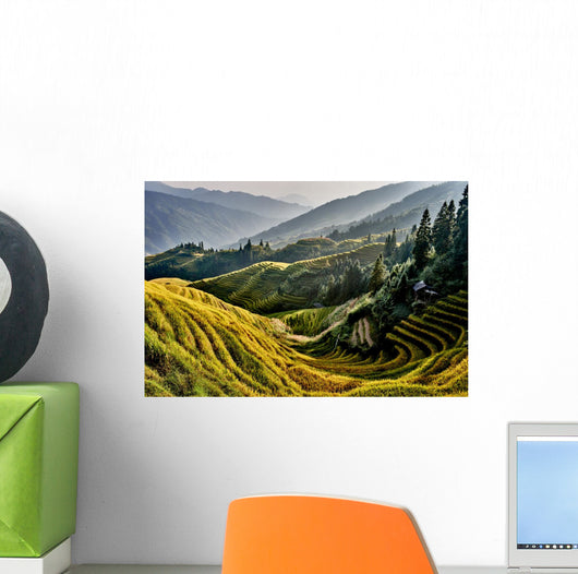 rice terraced fields Wengjia longji Longsheng Hunan China Wall Mural