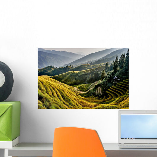 rice terraced fields Wengjia longji Longsheng Hunan China Wall Mural