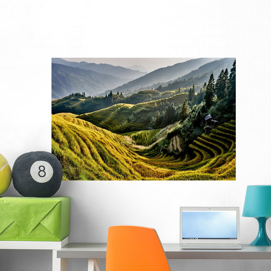 rice terraced fields Wengjia longji Longsheng Hunan China Wall Mural