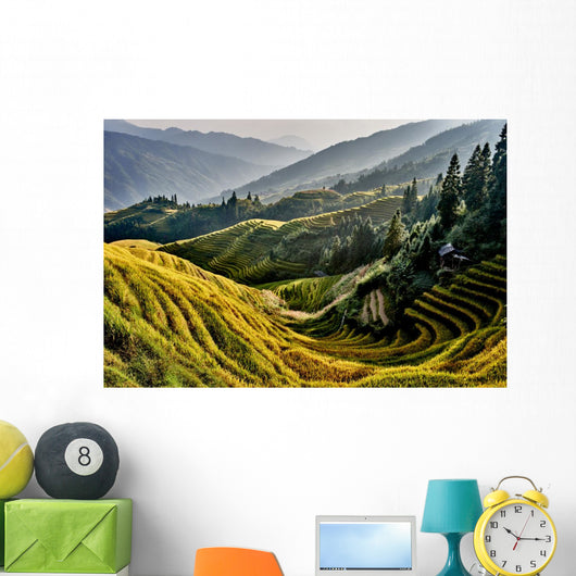 rice terraced fields Wengjia longji Longsheng Hunan China Wall Mural