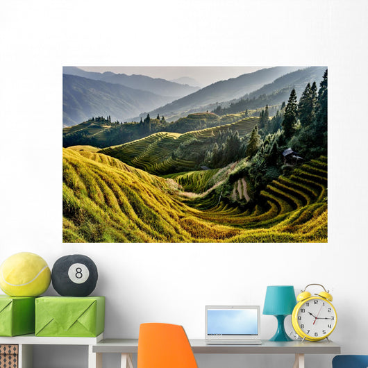 rice terraced fields Wengjia longji Longsheng Hunan China Wall Mural