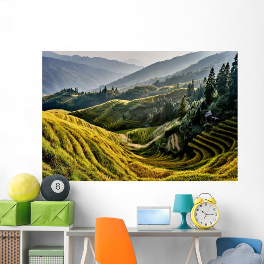 rice terraced fields Wengjia longji Longsheng Hunan China Wall Mural