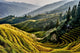 rice terraced fields Wengjia longji Longsheng Hunan China Wall Mural