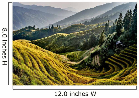 rice terraced fields Wengjia longji Longsheng Hunan China Wall Mural