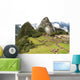 Le Macchu Picchu Wall Mural