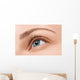 Close up blue eye with makeup Wall Mural