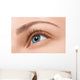 Close up blue eye with makeup Wall Mural