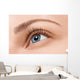 Close up blue eye with makeup Wall Mural