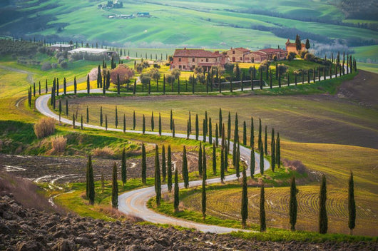 Sunny Fields Tuscany Italy