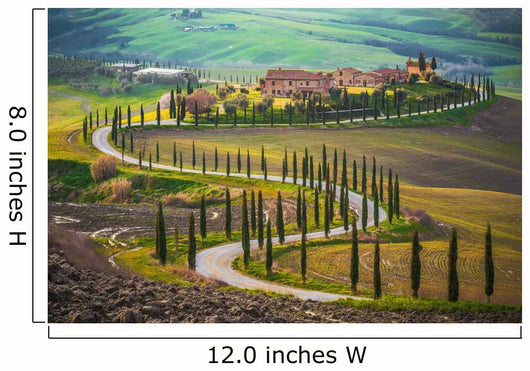 Sunny Fields Tuscany Italy