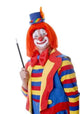 Happy Clown Wall Decal