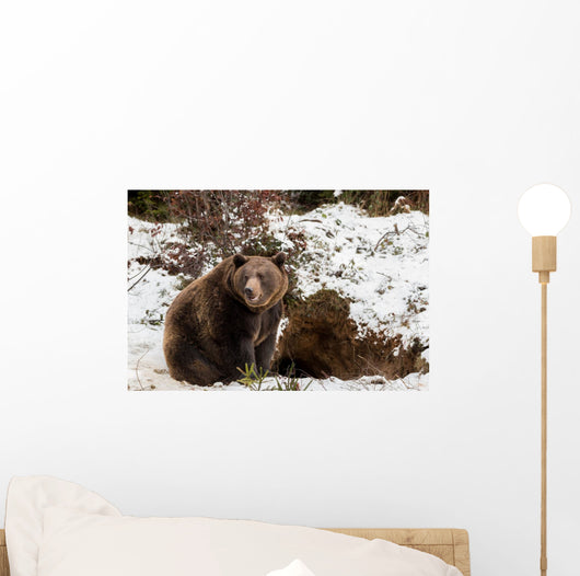 Brown Bears Winter Wall Mural