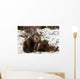 Brown Bears Winter Wall Mural