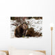 Brown Bears Winter Wall Mural