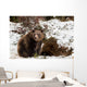 Brown Bears Winter Wall Mural