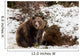 Brown Bears Winter Wall Mural