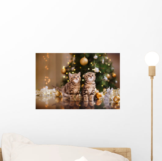 British Kitten Christmas Wall Mural