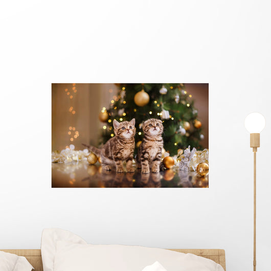 British Kitten Christmas Wall Mural