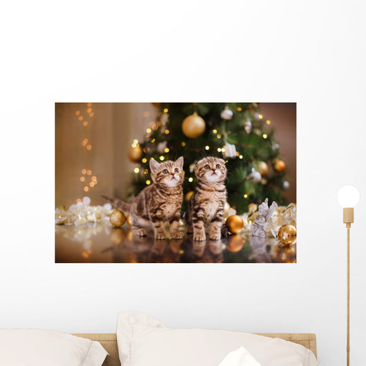 British Kitten Christmas Wall Mural