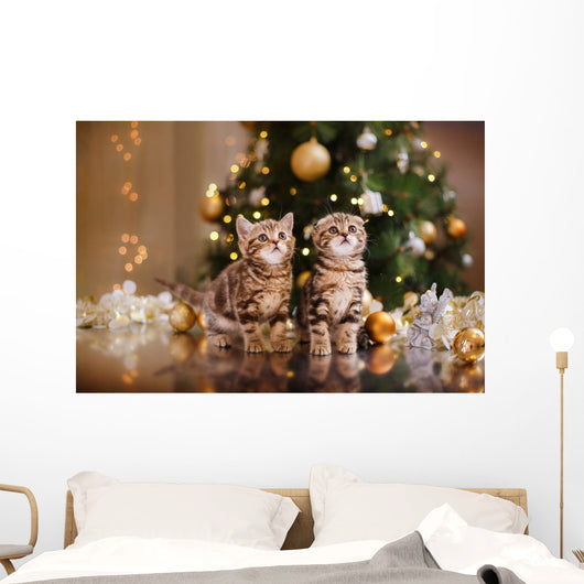 British Kitten Christmas Wall Mural