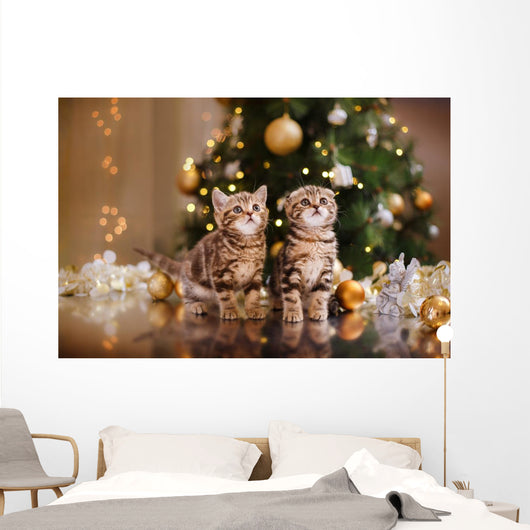 British Kitten Christmas Wall Mural