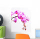 Pink Orchid Wall Decal