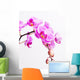 Pink Orchid Wall Decal