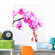Pink Orchid Wall Decal
