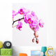 Pink Orchid Wall Decal