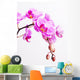 Pink Orchid Wall Decal