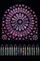 North Rose Window Wall Mural