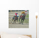 race horses Wall Mural