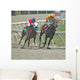 race horses Wall Mural