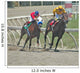 race horses Wall Mural