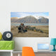 scoping for game Wall Mural