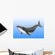 Endangered Blue Whale Wall Mural