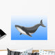 Endangered Blue Whale Wall Mural