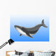 Endangered Blue Whale Wall Mural