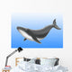 Endangered Blue Whale Wall Mural