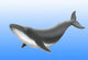 Endangered Blue Whale Wall Mural