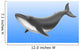 Endangered Blue Whale Wall Mural