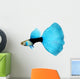 Half Black Blue Fantail Guppy Wall Decal