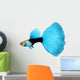 Half Black Blue Fantail Guppy Wall Decal
