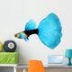 Half Black Blue Fantail Guppy Wall Decal