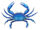 Eastern Blue Crab Wall Decal
