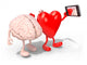 Brain and Heart Take Wall Decal