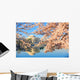 Jefferson Memorial during Cherry Blossom Season Wall Decal