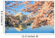 Jefferson Memorial during Cherry Blossom Season Wall Decal
