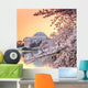 Jefferson Memorial Blossom Wall Mural