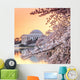 Jefferson Memorial Blossom Wall Mural